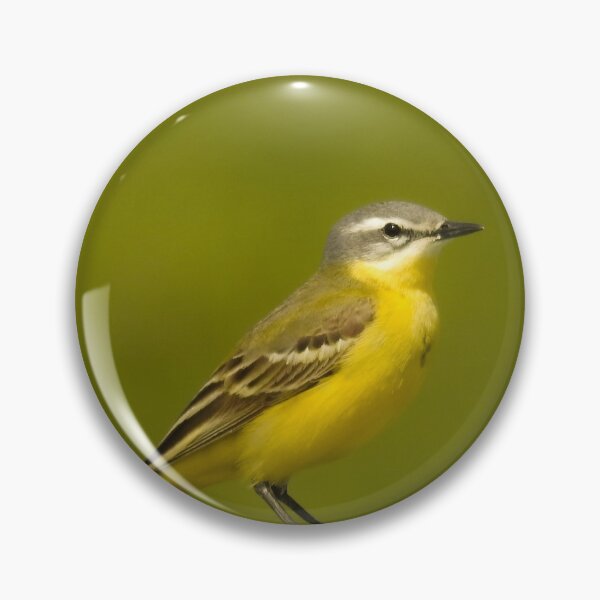 Item preview, Grey wagtail designed and sold by Anita van Gendt.