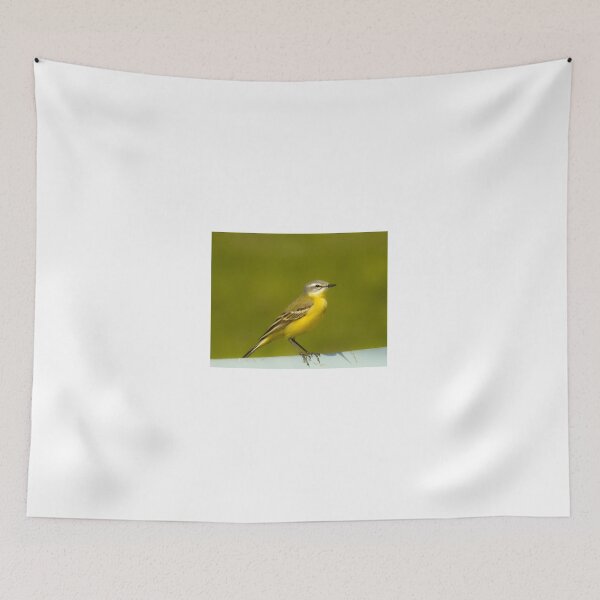 Item preview, Grey wagtail designed and sold by Anita van Gendt.