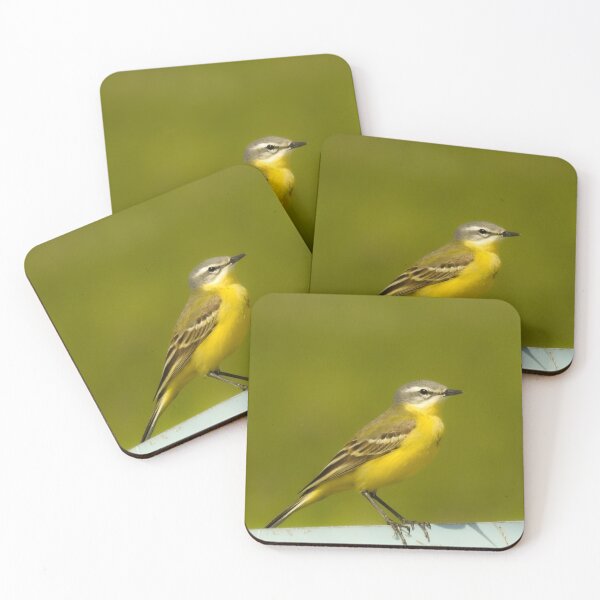 Item preview, Grey wagtail designed and sold by Anita van Gendt.