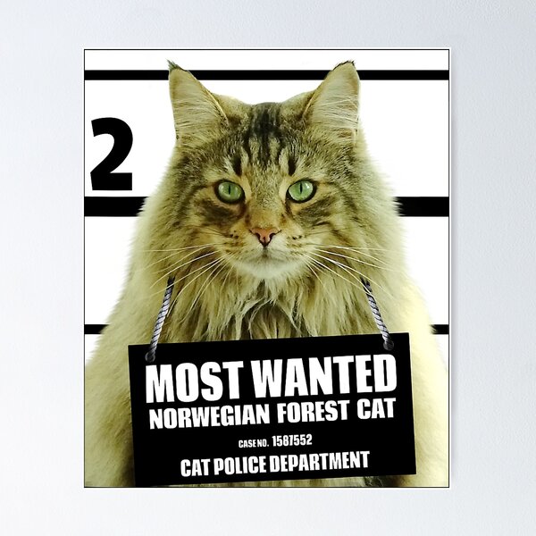 Missing Poster -  Norway