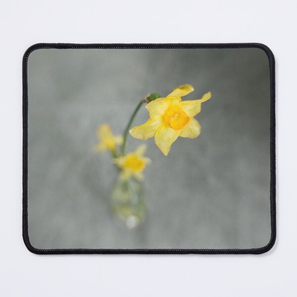 Item preview, Wilted daffodil trio designed and sold by gailgriggs.