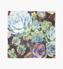 Succulent Field (watercolor) Scarf