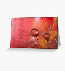 Fine Spun Greeting Card