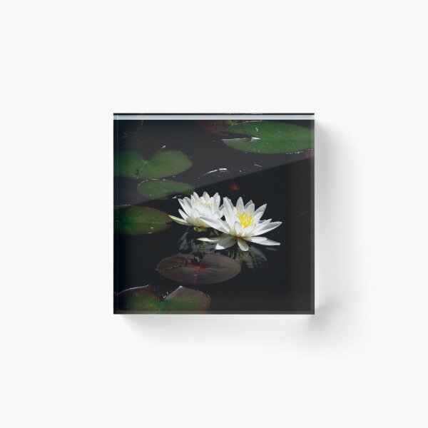 Item preview, Best Of Friends In Waldport, Oregon. Water Lily's designed and sold by Diane Arndt.