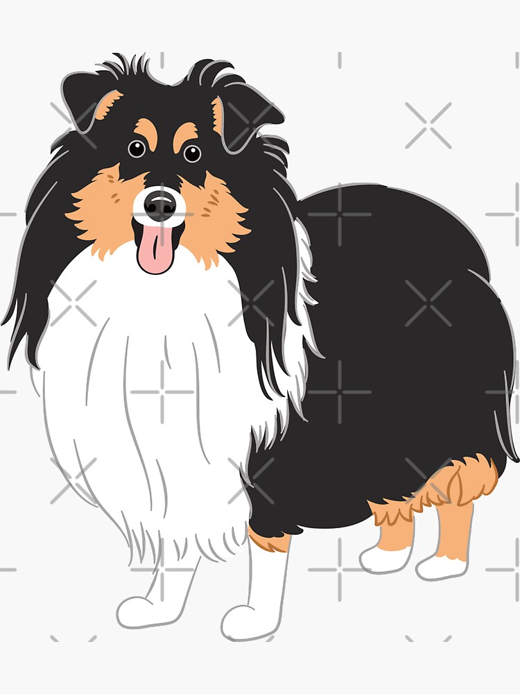 Cute shelties hot sale