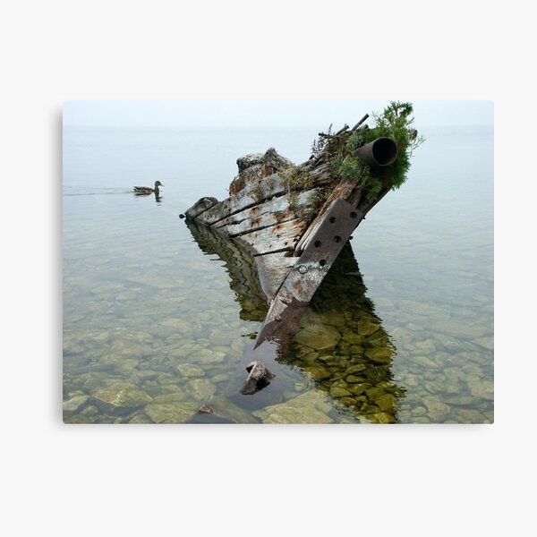 Tobermory shipwreck Canvas Print
