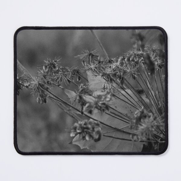 Item preview, Dry Grass and Fallen Leaf designed and sold by denis-romanov.
