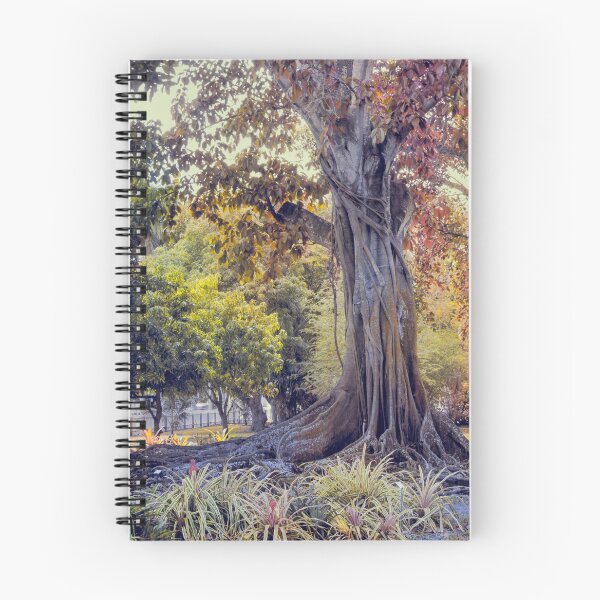 Item preview, The Old Banyan Tree designed and sold by John Rivera.
