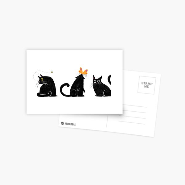 Three black cats Postcard