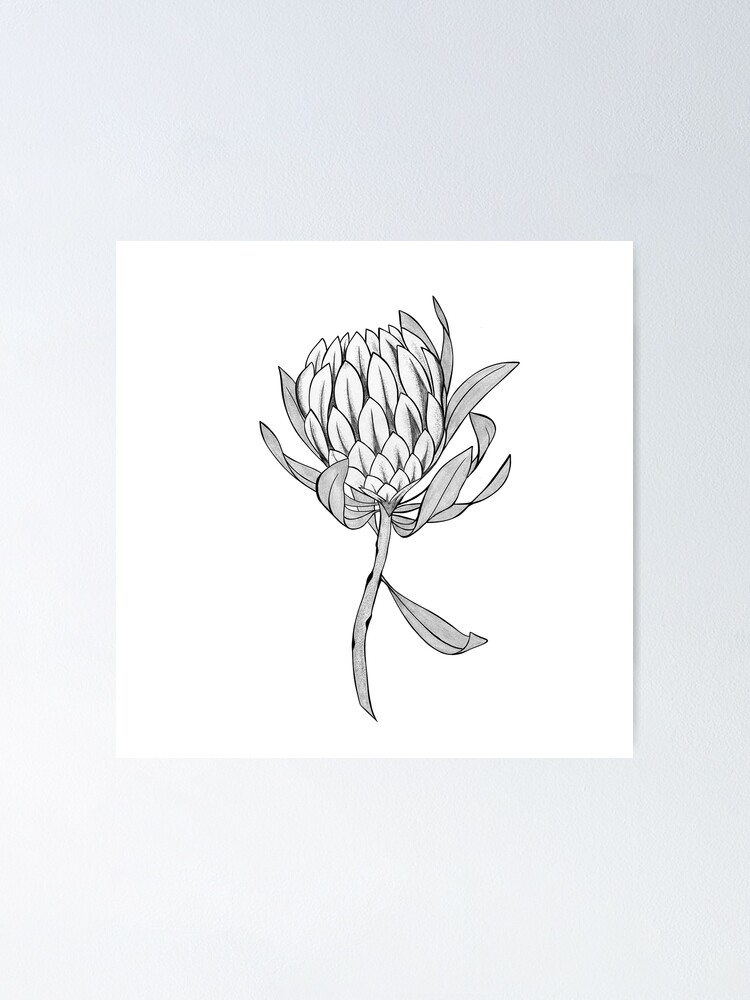 Protea Tattoos Symbolism Meanings  More