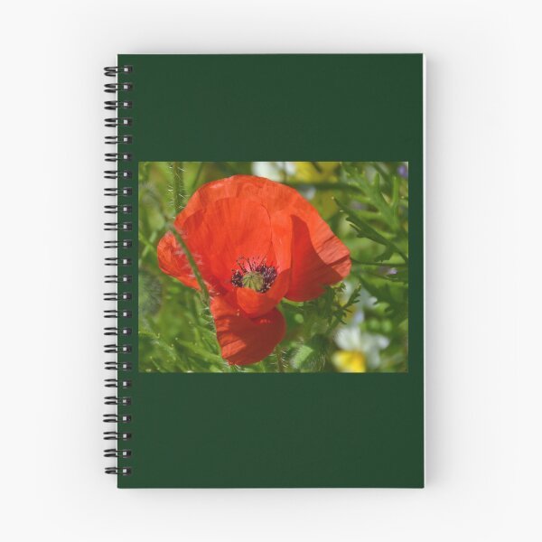 Item preview, Single Poppy designed and sold by lynn carter.