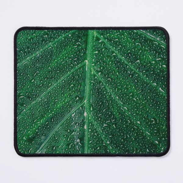 Item preview, Dew Drops on Leaf designed and sold by Emitropy.