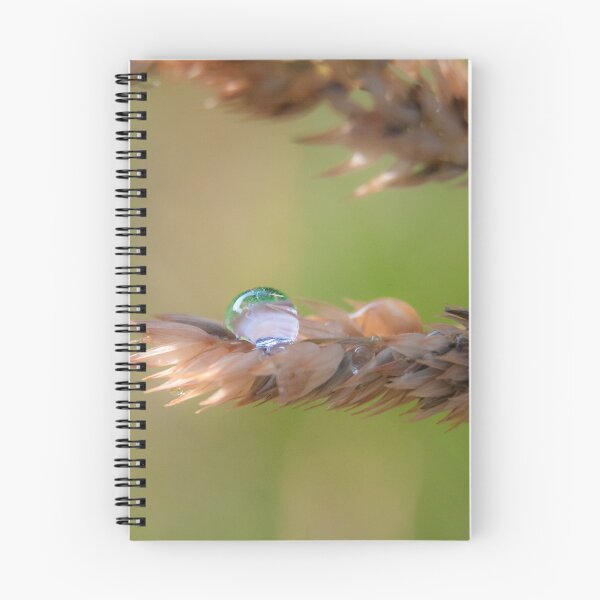 Item preview, Impermanent designed and sold by dlamb.