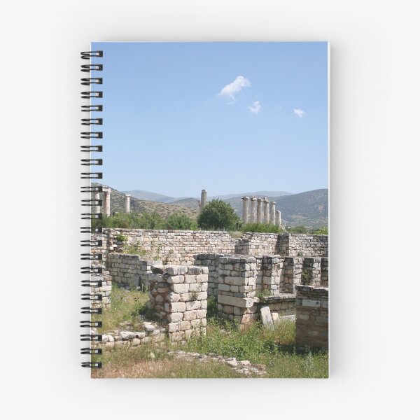 Item preview, The Courtyard Of The Bishops Palace Aphrodisias Turkiye designed and sold by taiche.