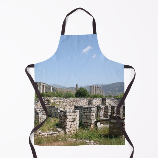 Item preview, The Courtyard Of The Bishops Palace Aphrodisias Turkiye designed and sold by taiche.