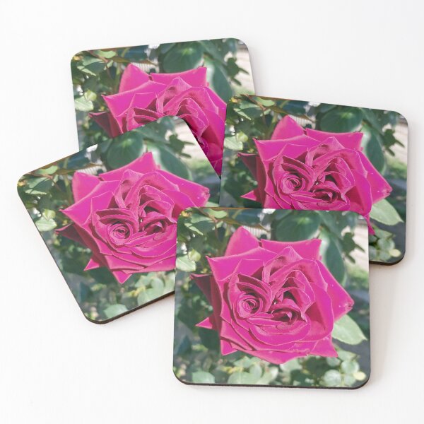 Item preview, Magenta Rose designed and sold by PressTees.