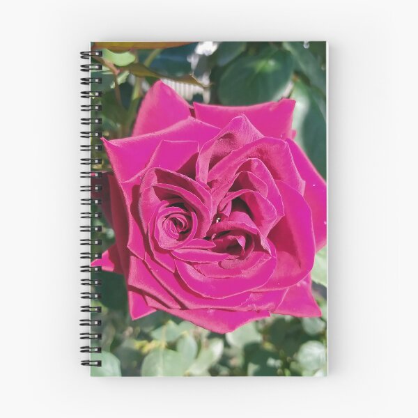 Item preview, Magenta Rose designed and sold by PressTees.