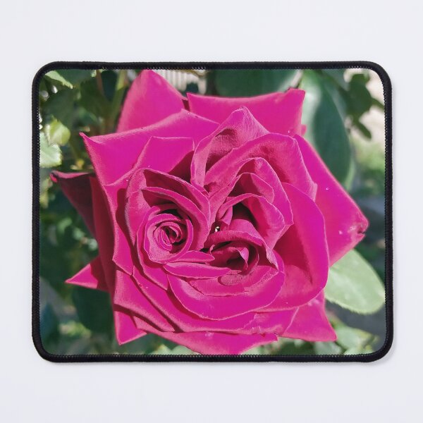 Item preview, Magenta Rose designed and sold by PressTees.