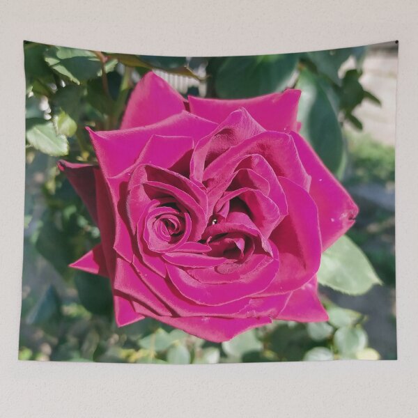 Item preview, Magenta Rose designed and sold by PressTees.