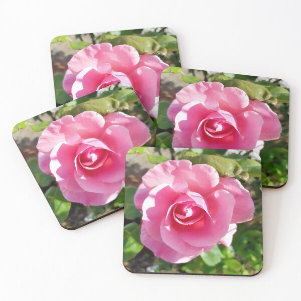 Item preview, Pink Rose designed and sold by PressTees.