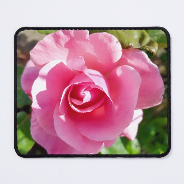 Item preview, Pink Rose designed and sold by PressTees.