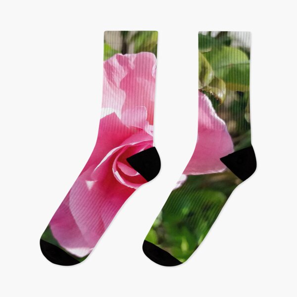 Item preview, Pink Rose designed and sold by PressTees.