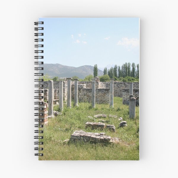 Item preview, The Bishop's Palace Aphrodisias Turkiye designed and sold by taiche.