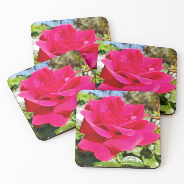Item preview, Magenta Rose designed and sold by PressTees.