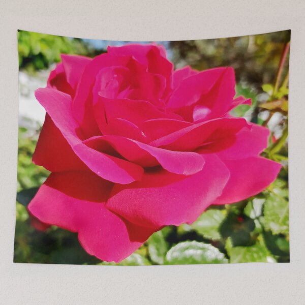 Item preview, Magenta Rose designed and sold by PressTees.