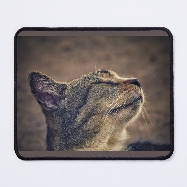 Item preview, Blissful cat designed and sold by Dead-Moroz.