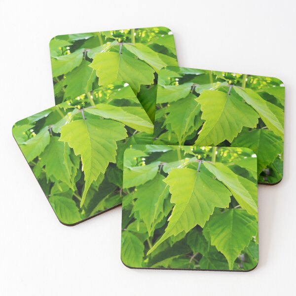 Item preview, Green Leaves designed and sold by PressTees.