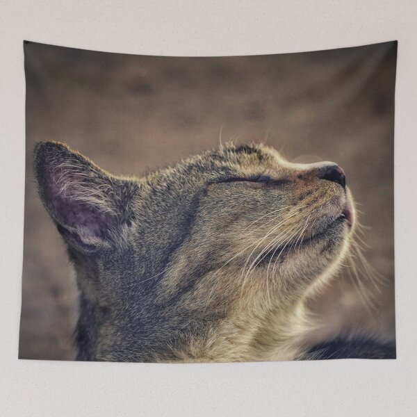 Item preview, Blissful cat designed and sold by Dead-Moroz.