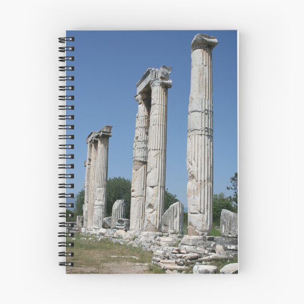 Item preview, The Temple of Aphrodite Ruins of Aphrodisias Turkiye designed and sold by taiche.