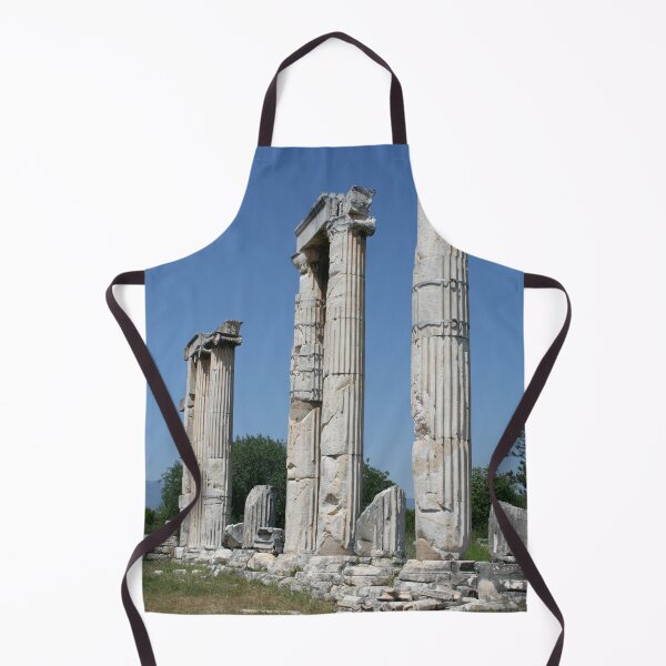 Item preview, The Temple of Aphrodite Ruins of Aphrodisias Turkiye designed and sold by taiche.