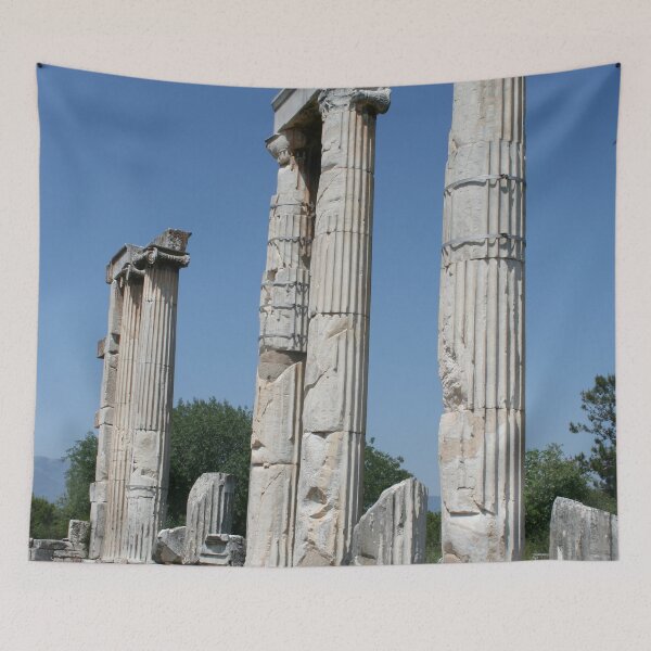 Item preview, The Temple of Aphrodite Ruins of Aphrodisias Turkiye designed and sold by taiche.