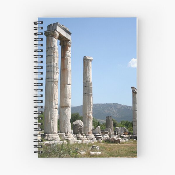 Item preview, Ionic Columns of The Temple of Aphrodite, Aphrodisias designed and sold by taiche.