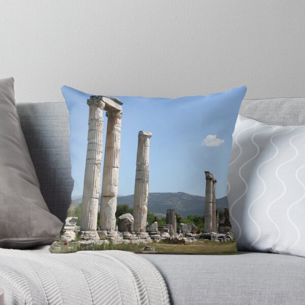 Item preview, Ionic Columns of The Temple of Aphrodite, Aphrodisias designed and sold by taiche.