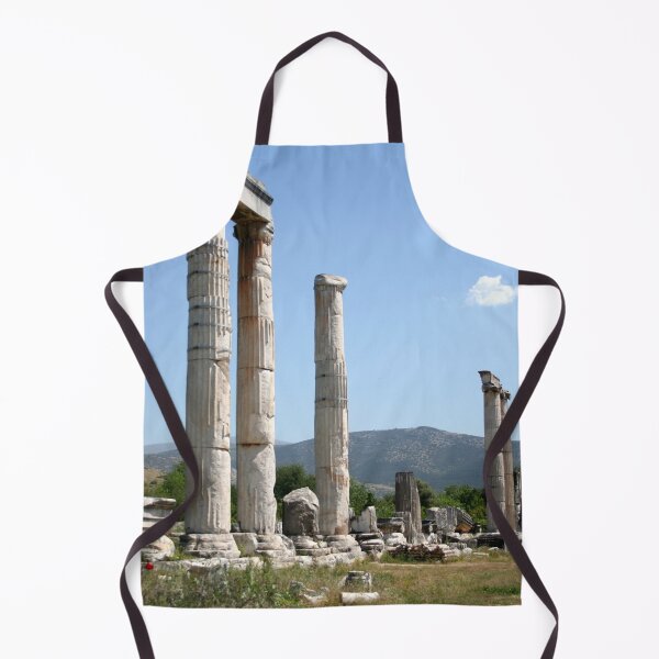 Item preview, Ionic Columns of The Temple of Aphrodite, Aphrodisias designed and sold by taiche.