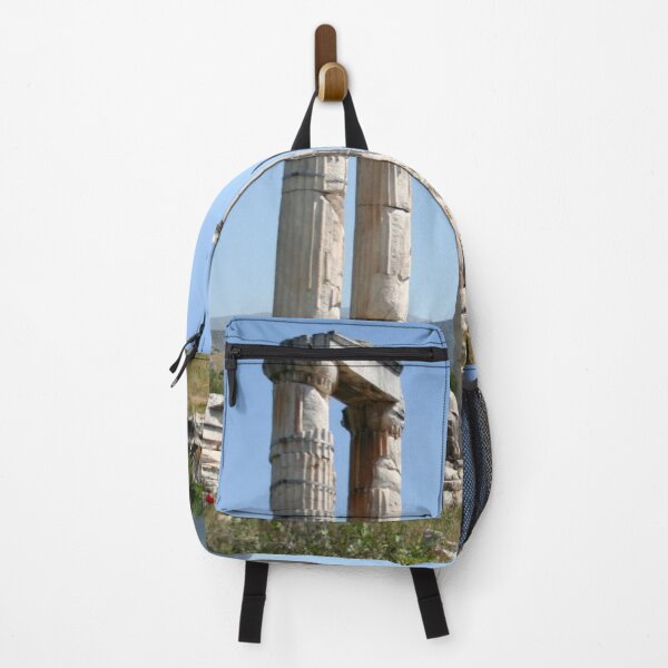 Item preview, Ionic Columns of The Temple of Aphrodite, Aphrodisias designed and sold by taiche.