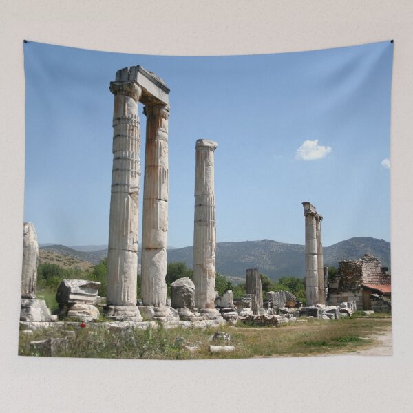 Item preview, Ionic Columns of The Temple of Aphrodite, Aphrodisias designed and sold by taiche.