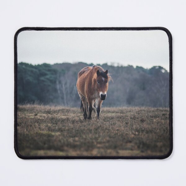 Item preview, Residents of the New Forest designed and sold by David French.