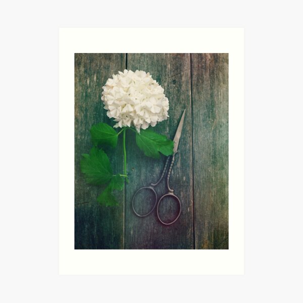 Lovely Art Print