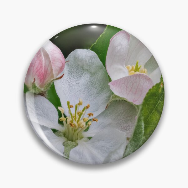 Item preview, Apple Blossom designed and sold by Graham Prentice.