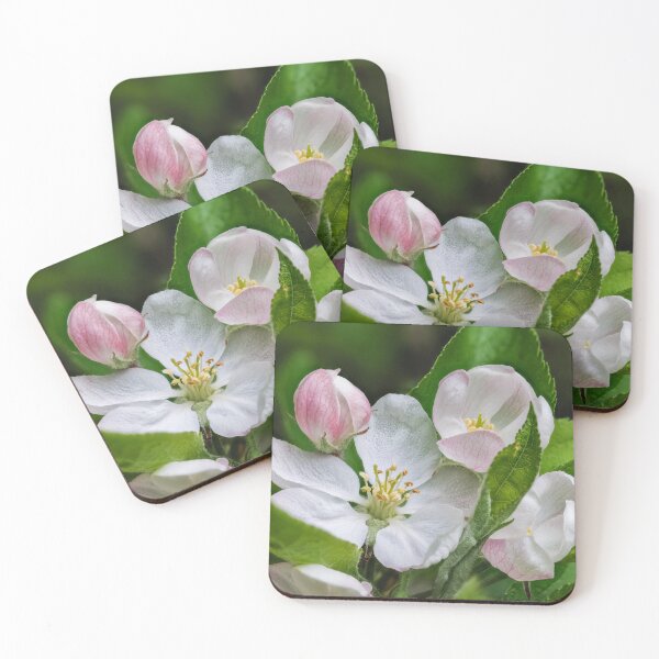 Item preview, Apple Blossom designed and sold by Graham Prentice.
