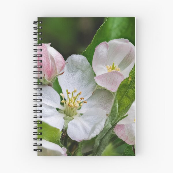 Item preview, Apple Blossom designed and sold by Graham Prentice.