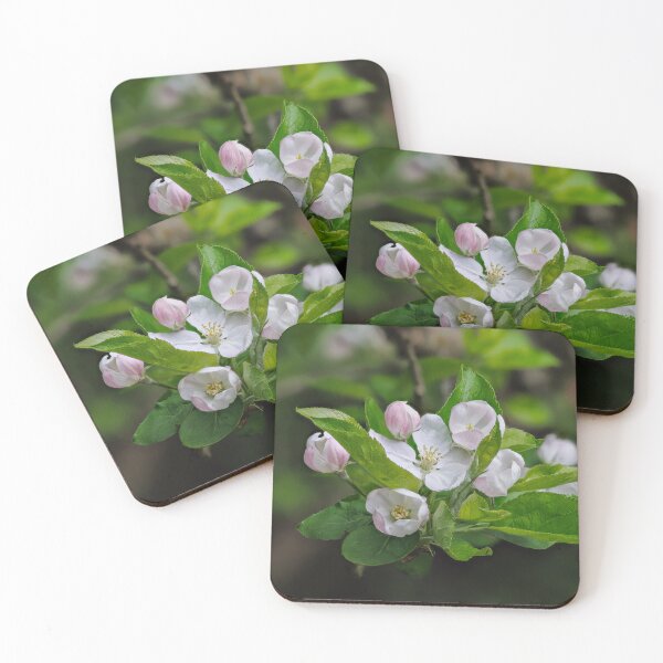Item preview, Apple Blossom designed and sold by Graham Prentice.