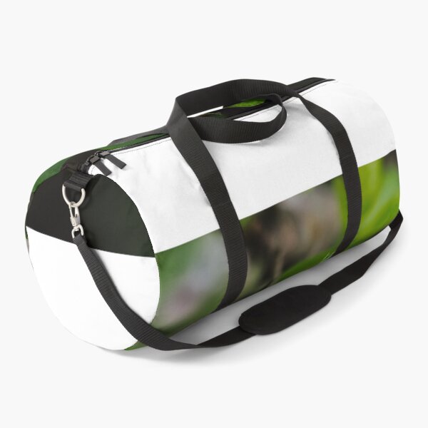 Item preview, Apple Blossom designed and sold by Graham Prentice.