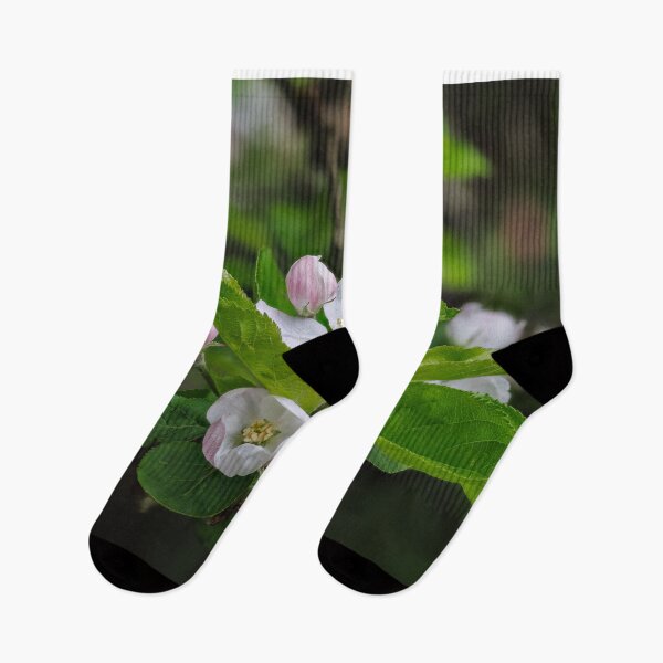 Item preview, Apple Blossom designed and sold by Graham Prentice.