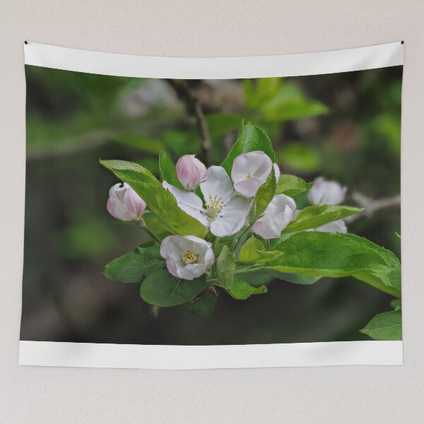 Item preview, Apple Blossom designed and sold by Graham Prentice.