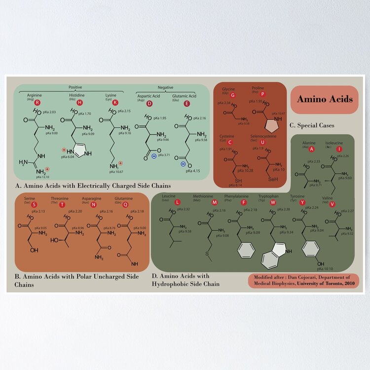 Chemistry  Mouse Pad